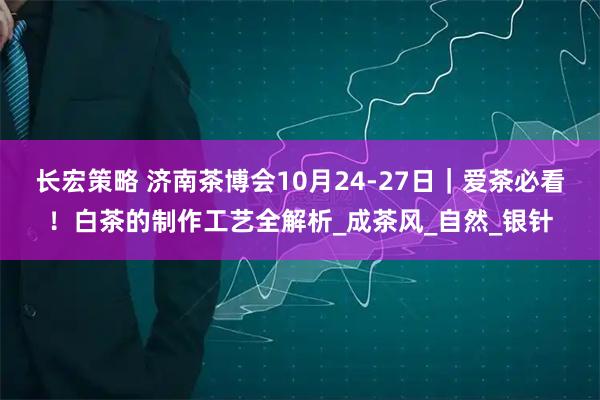 长宏策略 济南茶博会10月24-27日｜爱茶必看！白茶的制作工艺全解析_成茶风_自然_银针
