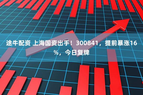 途牛配资 上海国资出手！300841，提前暴涨16%，今日复牌