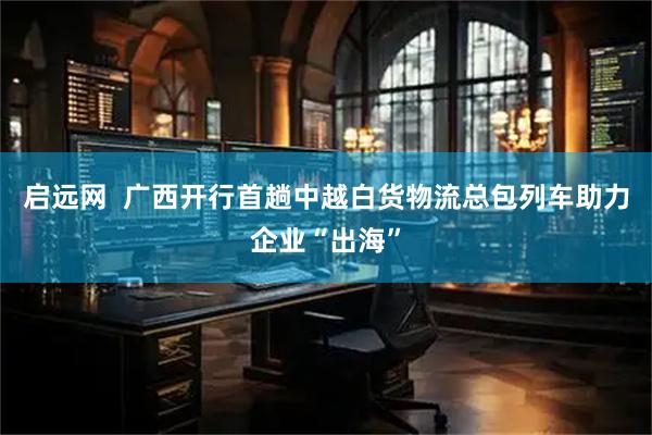 启远网  广西开行首趟中越白货物流总包列车助力企业“出海”
