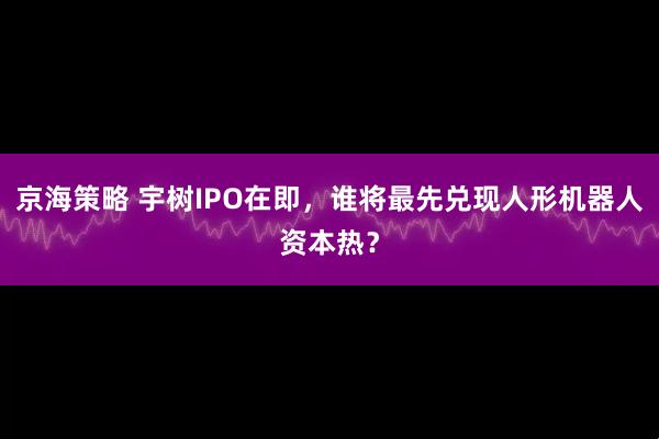 京海策略 宇树IPO在即，谁将最先兑现人形机器人资本热？