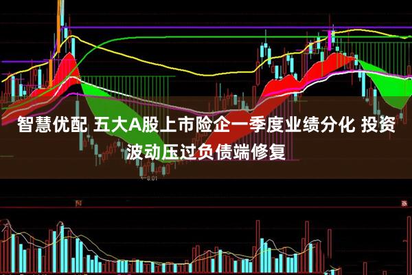 智慧优配 五大A股上市险企一季度业绩分化 投资波动压过负债端修复